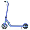 Kickscooter For Children And Teenagers Zing E8